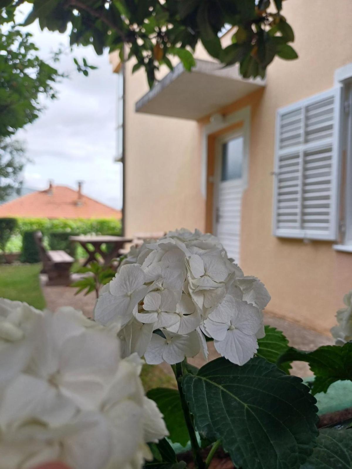 Apartments For Friends Trebinje Exterior photo